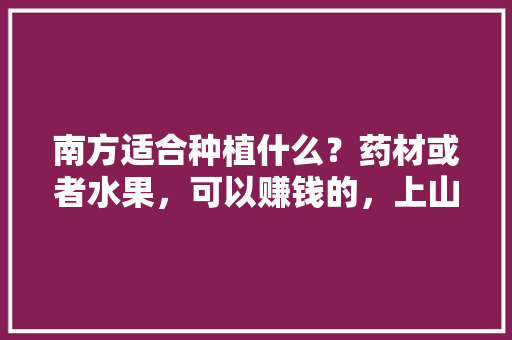 南方适合种植什么？药材或者水果，可以赚钱的，上山种植优质水果有哪些。 南方适合种植什么？药材或者水果，可以赚钱的，上山种植优质水果有哪些。 畜牧养殖