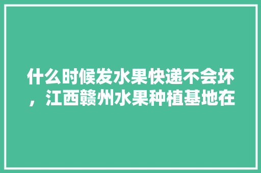 什么时候发水果快递不会坏，江西赣州水果种植基地在哪里。 土壤施肥