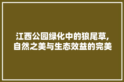 江西公园绿化中的狼尾草,自然之美与生态效益的完美融合