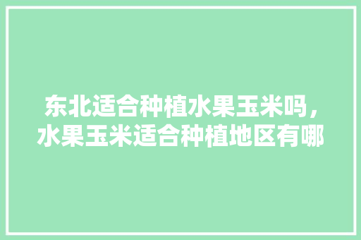 东北适合种植水果玉米吗，水果玉米适合种植地区有哪些。