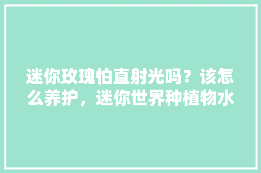 迷你玫瑰怕直射光吗？该怎么养护，迷你世界种植物水果怎么种。 水果种植