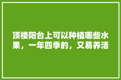 顶楼阳台上可以种植哪些水果，一年四季的，又易养活的，后期种植什么水果最好呢。 畜牧养殖