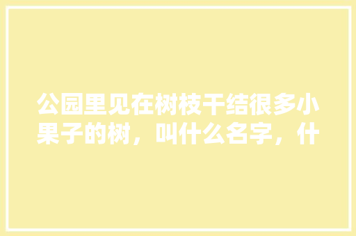 公园里见在树枝干结很多小果子的树，叫什么名字，什么水果适合干燥种植呢。 水果种植