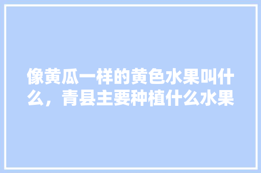 像黄瓜一样的黄色水果叫什么，青县主要种植什么水果品种。 家禽养殖