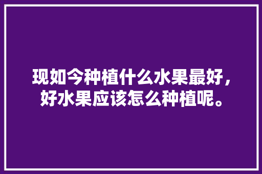 现如今种植什么水果最好，好水果应该怎么种植呢。 畜牧养殖