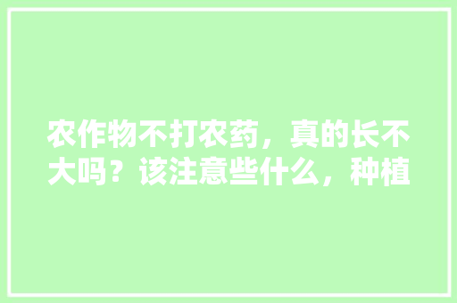 农作物不打农药，真的长不大吗？该注意些什么，种植水果不打药物可以吗。 土壤施肥