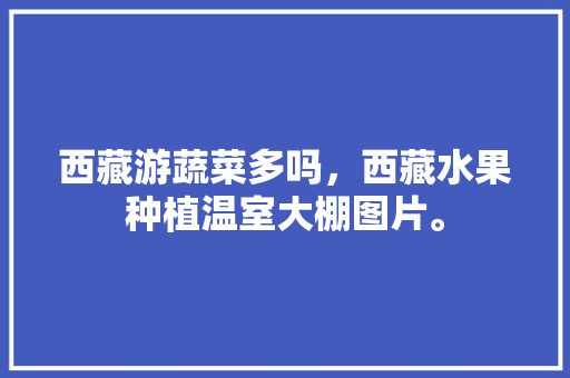 西藏游蔬菜多吗，西藏水果种植温室大棚图片。 蔬菜种植