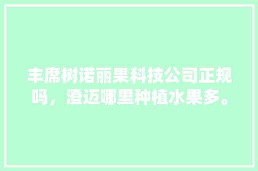 丰席树诺丽果科技公司正规吗，澄迈哪里种植水果多。 土壤施肥