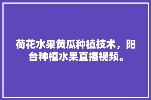 荷花水果黄瓜种植技术，阳台种植水果直播视频。 水果种植