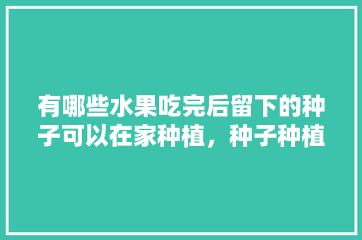 有哪些水果吃完后留下的种子可以在家种植，种子种植成水果的过程。 蔬菜种植