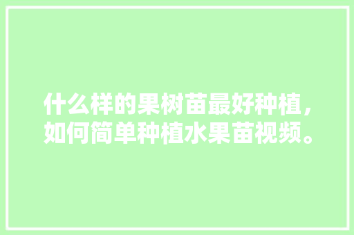 什么样的果树苗最好种植，如何简单种植水果苗视频。 水果种植