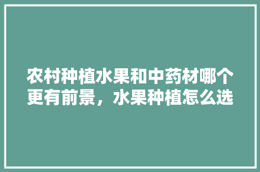 农村种植水果和中药材哪个更有前景，水果种植怎么选择品种。 水果种植