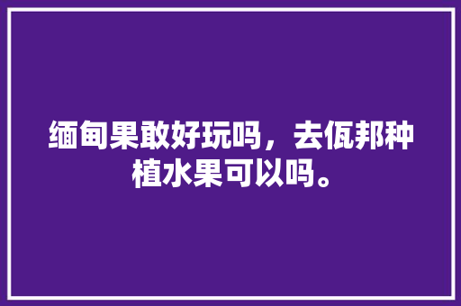 缅甸果敢好玩吗，去佤邦种植水果可以吗。 蔬菜种植