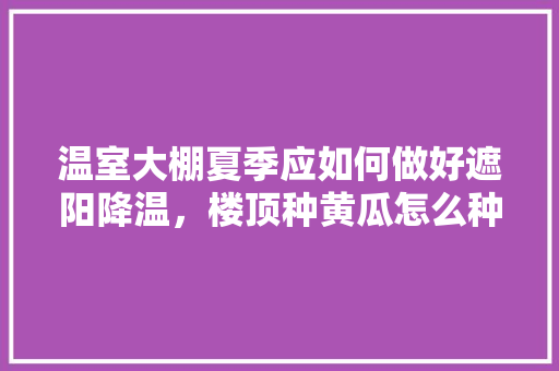 温室大棚夏季应如何做好遮阳降温，楼顶种黄瓜怎么种。 水果种植