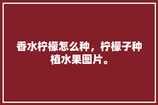 香水柠檬怎么种，柠檬子种植水果图片。 土壤施肥