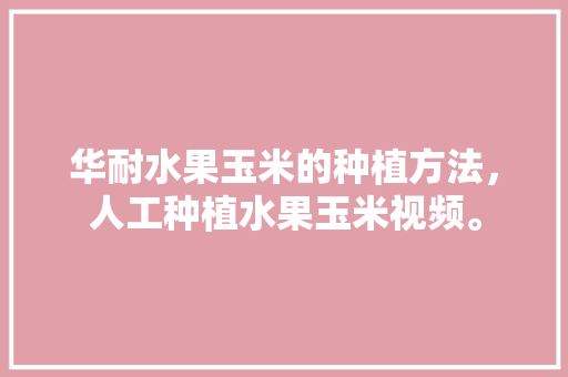 华耐水果玉米的种植方法，人工种植水果玉米视频。 家禽养殖