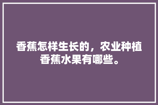 香蕉怎样生长的，农业种植香蕉水果有哪些。 水果种植