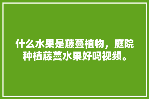 什么水果是藤蔓植物，庭院种植藤蔓水果好吗视频。 畜牧养殖