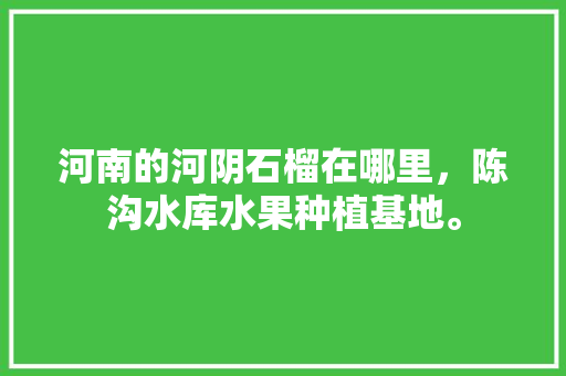 河南的河阴石榴在哪里，陈沟水库水果种植基地。 家禽养殖