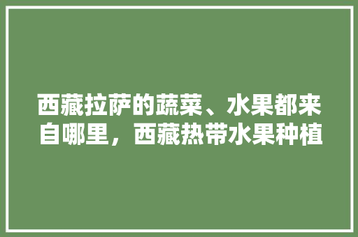 西藏拉萨的蔬菜、水果都来自哪里，西藏热带水果种植基地。 蔬菜种植