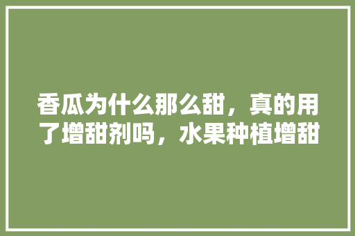 香瓜为什么那么甜，真的用了增甜剂吗，水果种植增甜化肥的方法。 土壤施肥