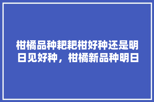 柑橘品种耙耙柑好种还是明日见好种，柑橘新品种明日见。 土壤施肥