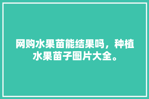 网购水果苗能结果吗，种植水果苗子图片大全。 家禽养殖