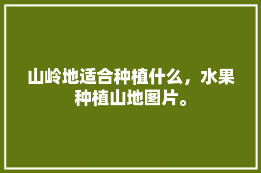 山岭地适合种植什么，水果种植山地图片。 蔬菜种植