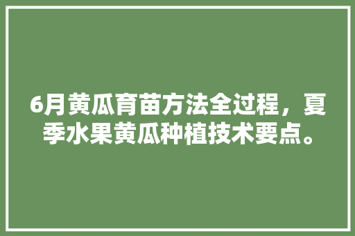 6月黄瓜育苗方法全过程，夏季水果黄瓜种植技术要点。 蔬菜种植