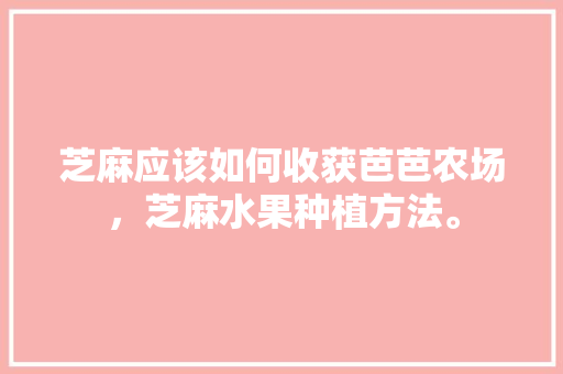 芝麻应该如何收获芭芭农场，芝麻水果种植方法。 家禽养殖