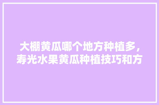 大棚黄瓜哪个地方种植多，寿光水果黄瓜种植技巧和方法。 畜牧养殖