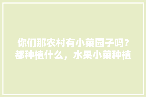 你们那农村有小菜园子吗？都种植什么，水果小菜种植方法视频。 蔬菜种植