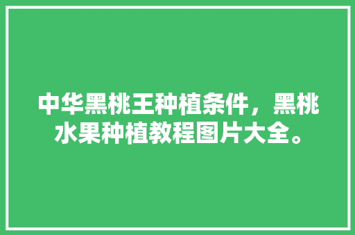 中华黑桃王种植条件，黑桃水果种植教程图片大全。 土壤施肥