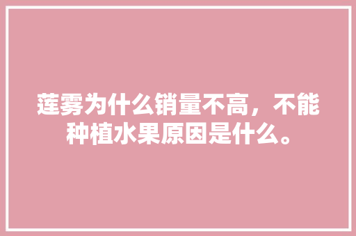 莲雾为什么销量不高，不能种植水果原因是什么。 水果种植