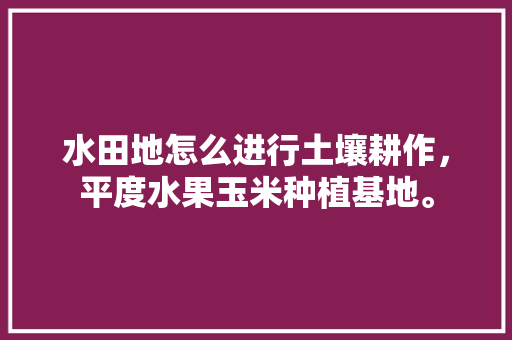 水田地怎么进行土壤耕作，平度水果玉米种植基地。 家禽养殖