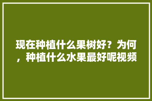 现在种植什么果树好？为何，种植什么水果最好呢视频。 水果种植