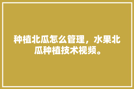 种植北瓜怎么管理，水果北瓜种植技术视频。 畜牧养殖