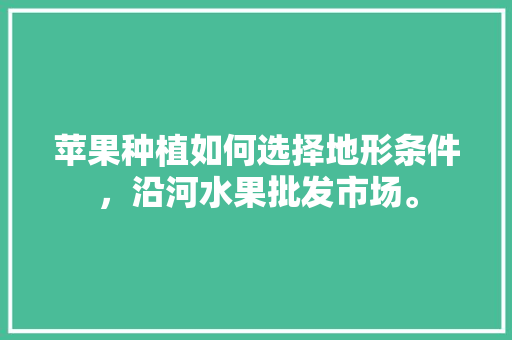 苹果种植如何选择地形条件，沿河水果批发市场。 蔬菜种植