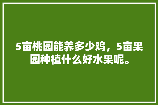 5亩桃园能养多少鸡，5亩果园种植什么好水果呢。 蔬菜种植