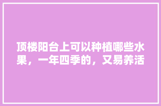 顶楼阳台上可以种植哪些水果，一年四季的，又易养活的，在家容易种植的水果有哪些。 水果种植