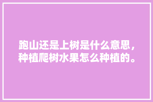 跑山还是上树是什么意思，种植爬树水果怎么种植的。 水果种植