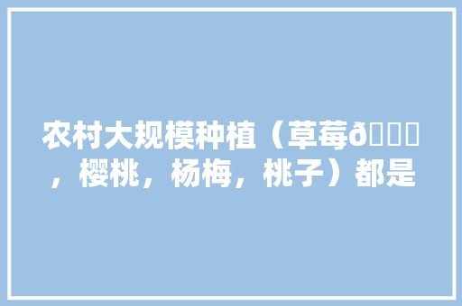 农村大规模种植（草莓🍓，樱桃，杨梅，桃子）都是应季水果，怎么做到深加工快速消费，水果种植桃子图片高清大图。 蔬菜种植