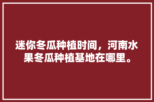 迷你冬瓜种植时间，河南水果冬瓜种植基地在哪里。 水果种植