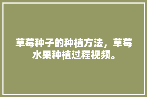 草莓种子的种植方法，草莓水果种植过程视频。 土壤施肥