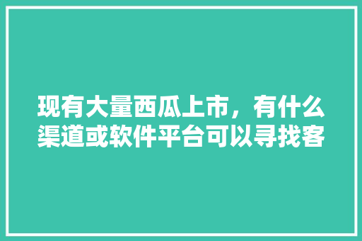 现有大量西瓜上市，有什么渠道或软件平台可以寻找客商，谢谢，绥化种植出优质水果的地方。 土壤施肥