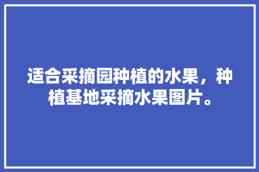 适合采摘园种植的水果，种植基地采摘水果图片。 土壤施肥