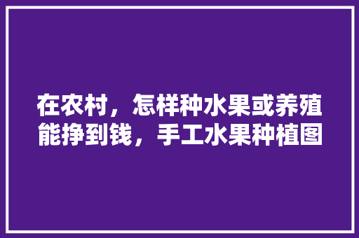 在农村，怎样种水果或养殖能挣到钱，手工水果种植图片大全。 水果种植