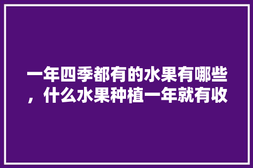 一年四季都有的水果有哪些，什么水果种植一年就有收获?。 土壤施肥