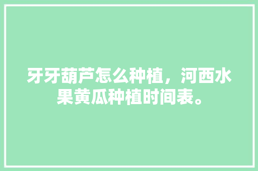 牙牙葫芦怎么种植，河西水果黄瓜种植时间表。 畜牧养殖