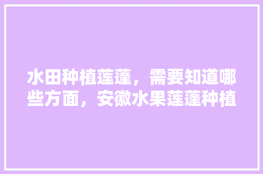 水田种植莲蓬，需要知道哪些方面，安徽水果莲蓬种植基地在哪里。 畜牧养殖